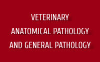 Veterinary Anatomical Pathology and General Pathology