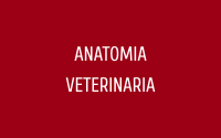 Anatomia Veterinaria