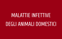 Malattie infettive degli animali domestici