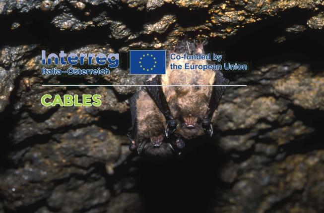 Collegamento a CABLES. Una rete interregionale Italia-Austria per il monitoraggio ecopatologico dei chirotteri