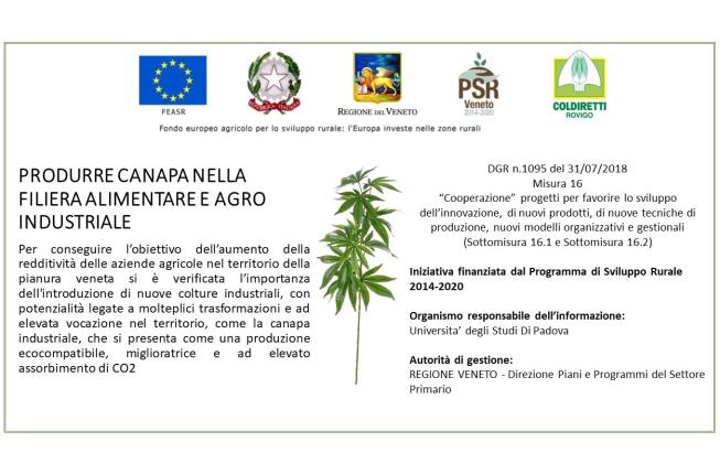 Collegamento a Progetto PSR Regione Veneto: l'utilizzazione della canapa nella alimentazione zootecnica