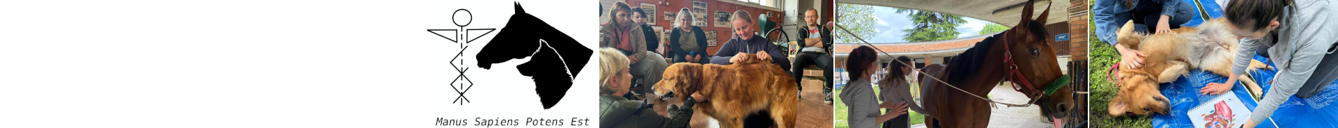 cani e cavalli oggetto di manipolazione fasciale